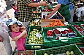 Marktstand mit Früchten und Beeren