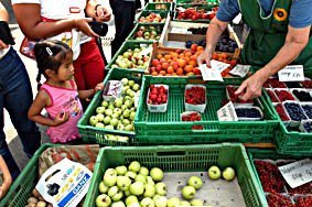 Marktstand mit Früchten